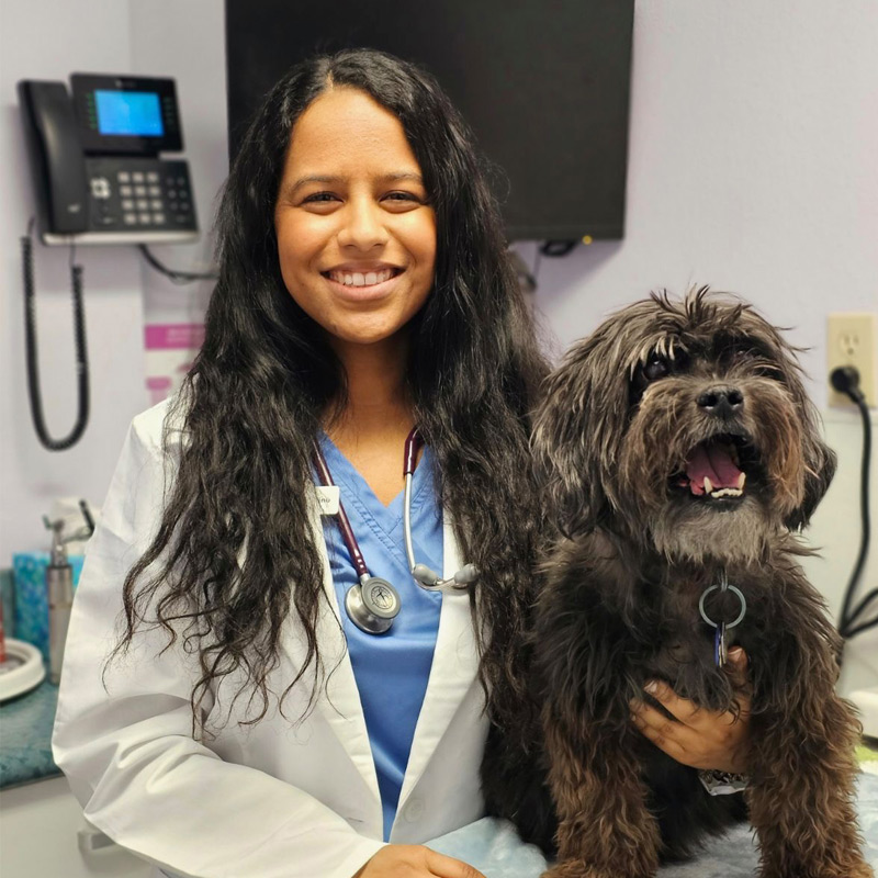 Dr. Valino - SoCal TeleVet Veterinarian