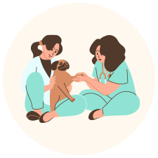 In-home vet tech care for pets in Orange County