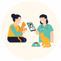 Telehealth Exam and RVT House Visit Telehealth vet exam and Registered Veterinary Technician house visit services