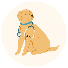 Vet Telehealth Pet Diagnostics So Cal