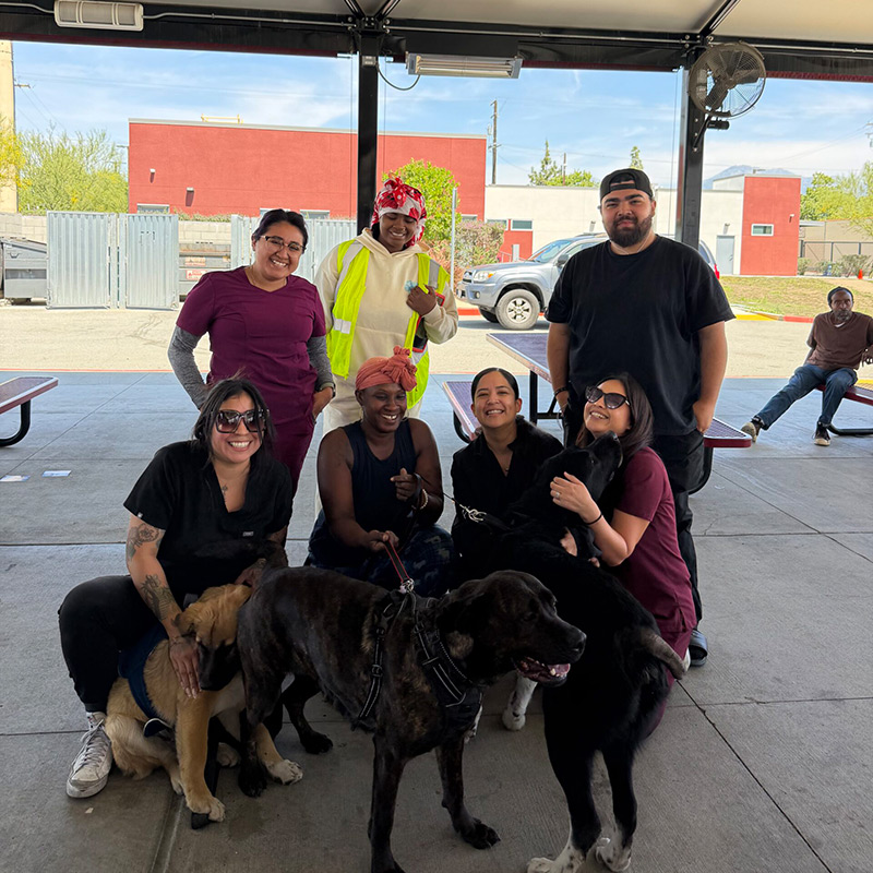 SoCal TeleVet volunteers, veterinary professionals, and community members gathered during a community veterinary outreach event.