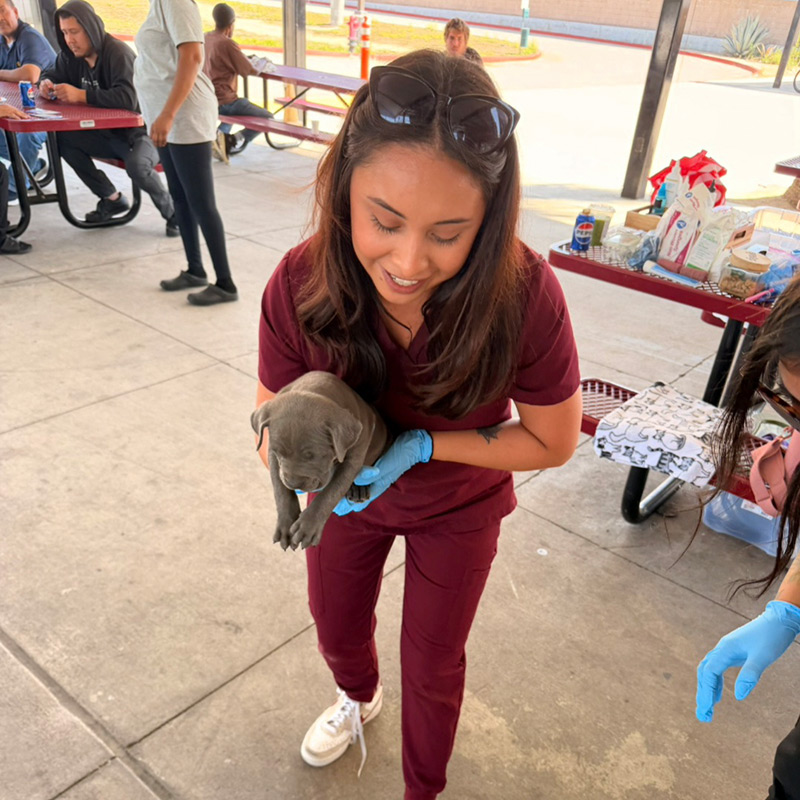 SoCal TeleVet team member holding a puppy during a community veterinary outreach event.