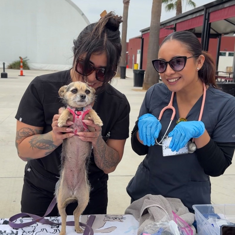 SoCal TeleVet team members posing with a small dog during a community veterinary outreach event.